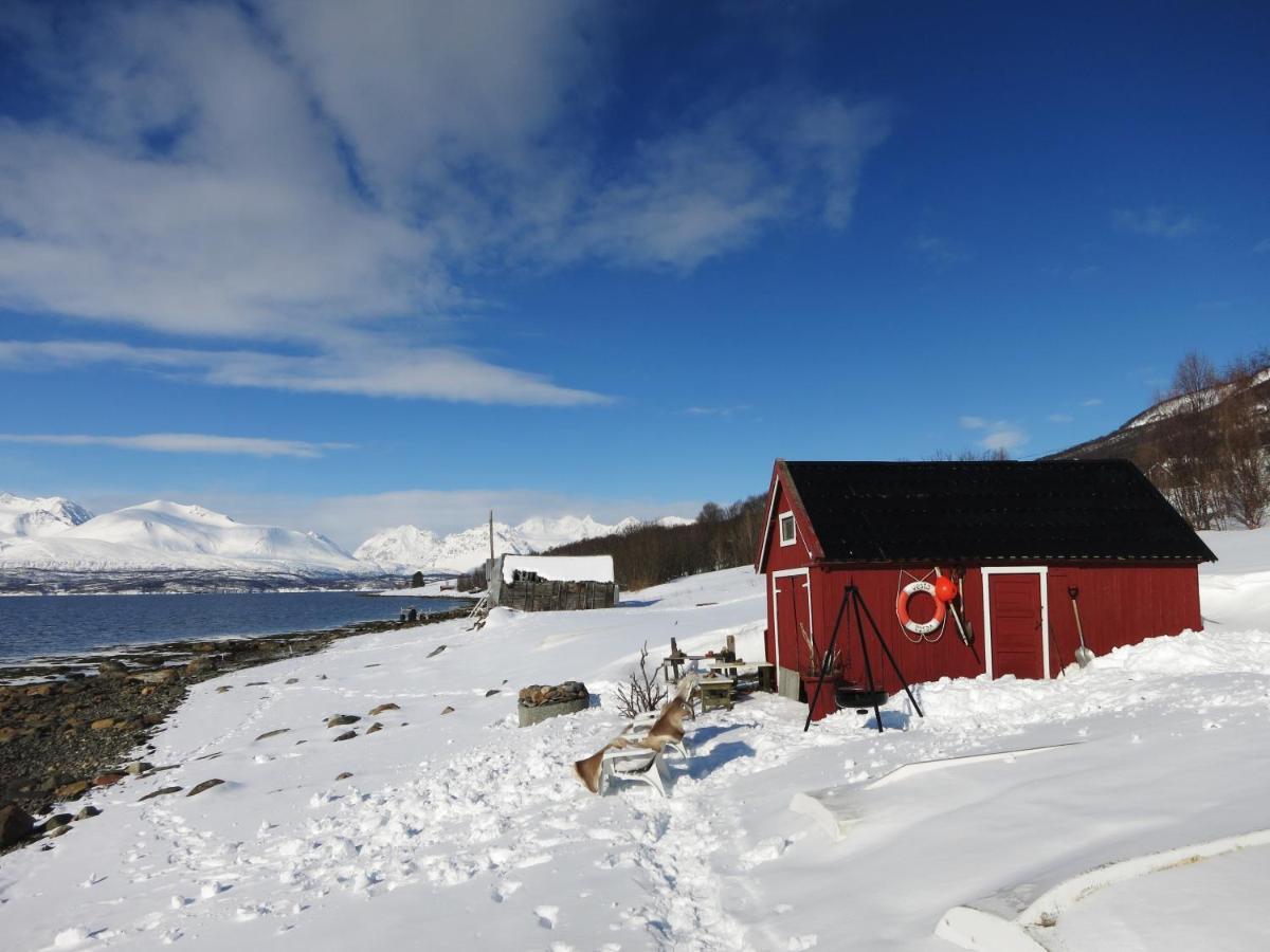Olderdalen Ski Camp Εξωτερικό φωτογραφία