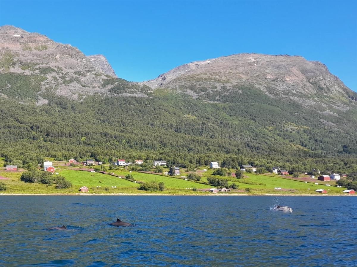 Olderdalen Ski Camp Εξωτερικό φωτογραφία