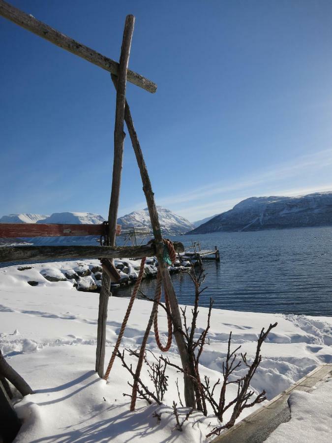 Olderdalen Ski Camp Εξωτερικό φωτογραφία