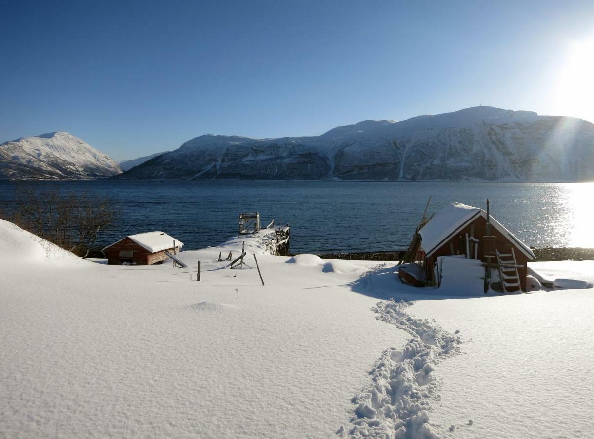 Olderdalen Ski Camp Εξωτερικό φωτογραφία